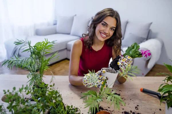 Kobieta Podlewanie Roślin Domowych Pozostawia Pomieszczeniu Koncepcja Hobby — Zdjęcie stockowe