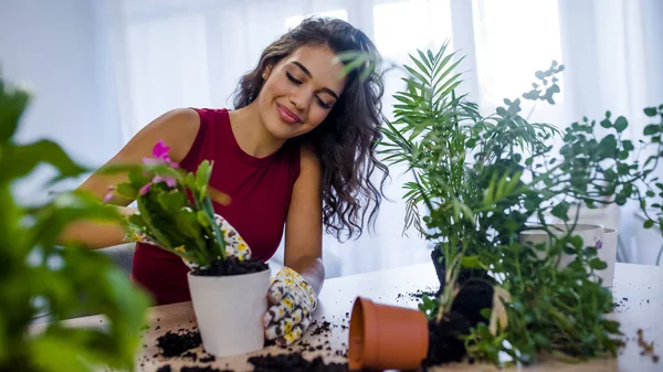 Frau Topfpflanzen Töpfen Auf Holztisch Hause Hobbykonzept — Stockfoto