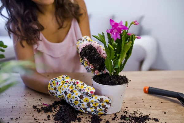 Kvinna Planteringsjord Växter Krukor Träbord Hemma Hobby Konceptet — Stockfoto
