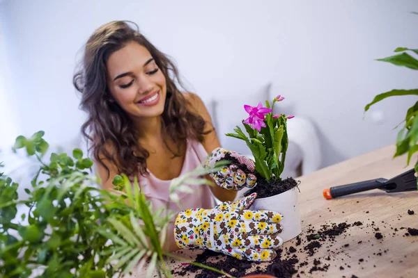 Frau Topfpflanzen Töpfen Auf Holztisch Hause Hobbykonzept — Stockfoto