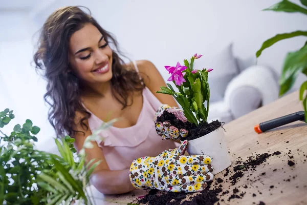 Kvinna Planteringsjord Växter Krukor Träbord Hemma Hobby Konceptet — Stockfoto