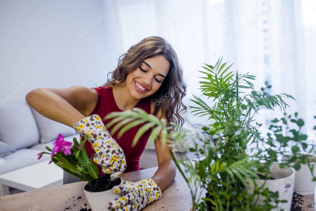 Woman potting plants in pots on wooden table at home, hobby concept 