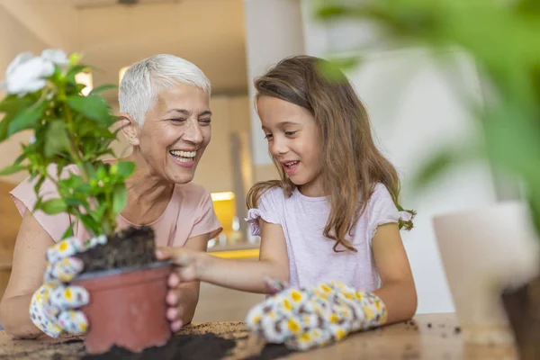 Happy Grandmother Her Granddaughter Taking Care Plants Home Gardening Family — Stock Photo, Image