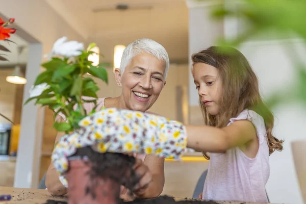 Grandmother Her Granddaughter Transplants Watering Flowers Home People Gardening Flowers — Stock Photo, Image