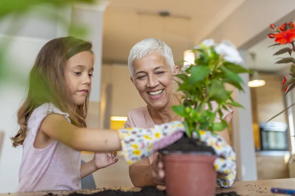 Ragazza Nonna Che Fanno Giardinaggio Preparazione Fiori Semina Durante Lavori — Foto Stock