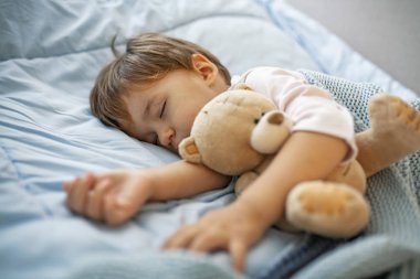 Oyuncakile gri yatakta uyuduktan sonra sevimli çocuk çocuk. Sevimli sağlıklı küçük yürümeye başlayan erkek bebek çocuk uyku / oyuncak ayı sarılma sırasında yatakta battaniye altında bir şekerleme alarak. 