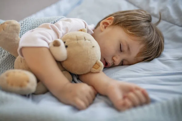 Tatlı küçük çocuk oyuncakla uyuyor. Yatakta uyuyan ve oyuncak ayıya sarılan genç çocuk. Küçük çocuk, büyük hayalperest. Bebek ve ayı için yatma zamanı. Teddy'nin yanında en yumuşak tatlı rüyaları var.