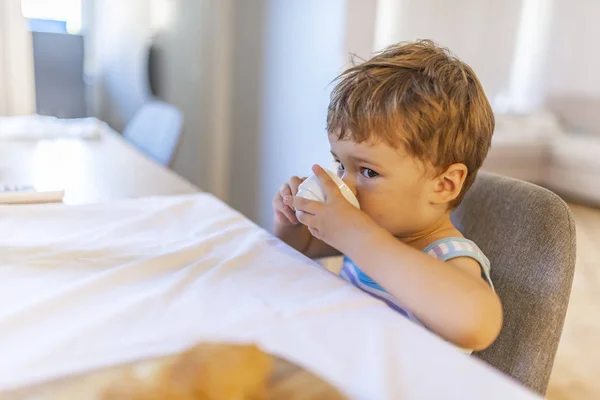 Здорова Їжа Хлопчик Мила Дитина Снідає Дитяче Харчування Здоровий Тоддлера — стокове фото