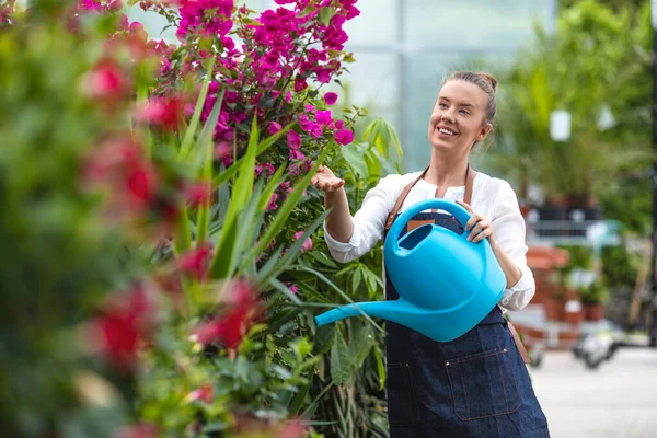 Commercial gardener watering the flowers. Happy florist watering plants in a greenhouse. Gardener watering plants in a greenhouse. Woman watering plants at community garden