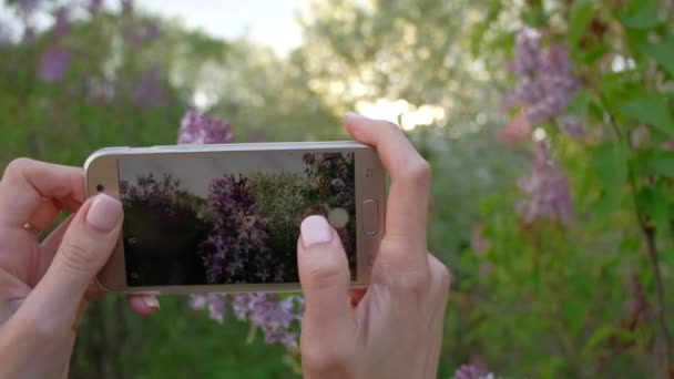 Женщина фотографирует цветущий сирень с помощью смартфона в красивом весеннем саду — стоковое видео