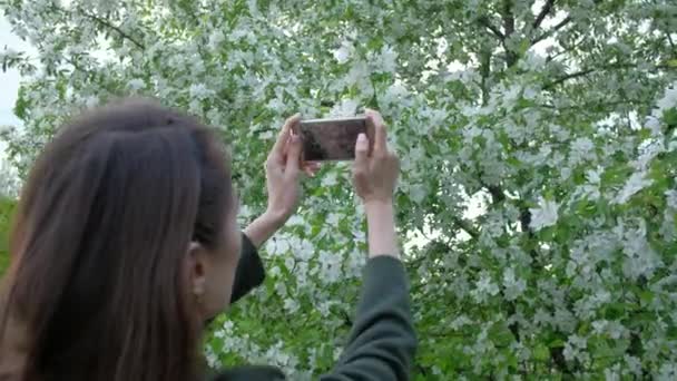 Female takes photos of blooming Apple trees, using smartphone in beautiful spring garden. — Stock Video
