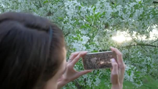 Female takes photos of blooming Apple trees, using smartphone in beautiful spring garden. — Stock Video