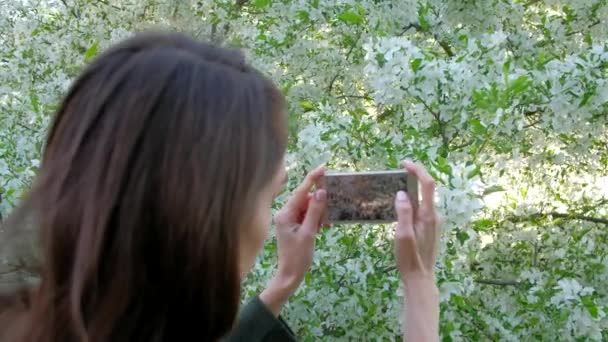 Female takes photos of blooming Apple trees, using smartphone in beautiful spring garden. — Stock Video