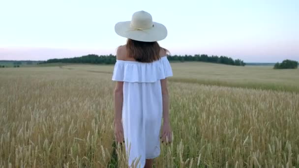 Mooie vrouw gaat naar gebied van rijpe gouden tarwe — Stockvideo