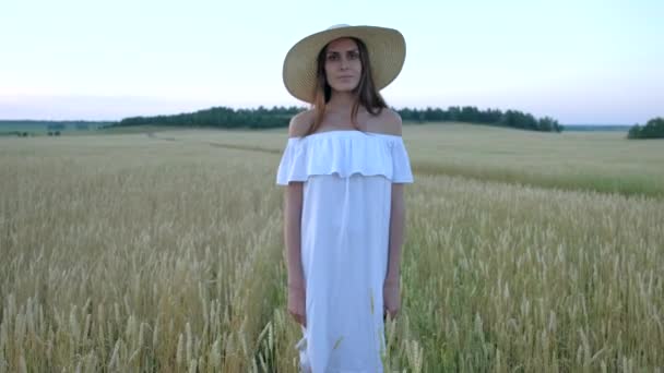 Sorprendente ritratto di bella donna in piedi nel campo del grano maturo dorato — Video Stock