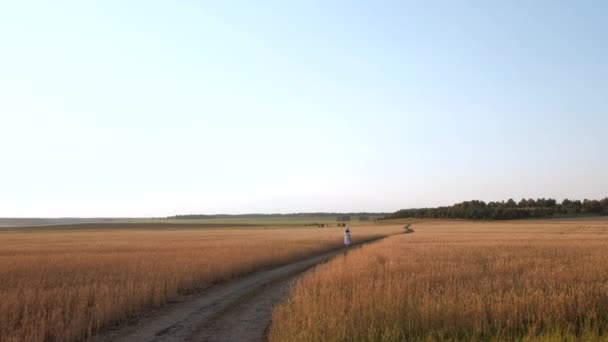 Прекрасная женщина идет на поле спелой золотой пшеницы — стоковое видео