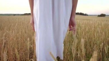güzel kadın Olgun altın buğday alanına gider