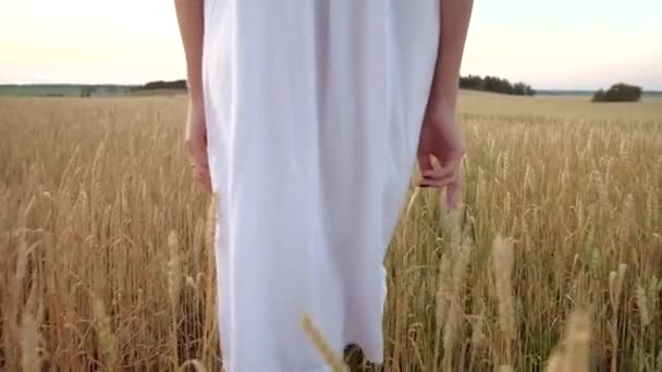 Schöne Frau geht auf das Feld des reifen goldenen Weizens — Stockvideo