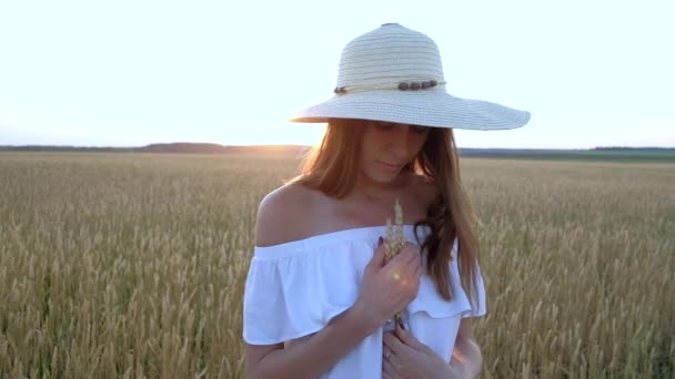 Geweldig portret van mooie vrouw permanent op gebied van rijpe gouden tarwe — Stockvideo