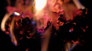 çiçek yanık siyah bir zemin üzerine kurutulmuş