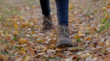 turist doğa yürüyüşleri