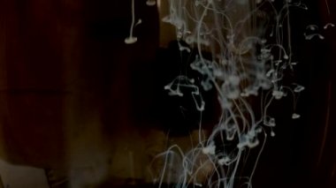 Mürekkep su altında dönen yavaş. siyah arka plan. Etkileri, Fx 4k Uhd.