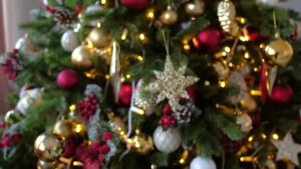 Kerstboom. Vakantie achtergrond. — Stockvideo