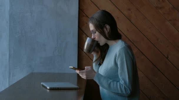 Uso femenino teléfono inteligente y portátil en la cafetería . — Vídeos de Stock