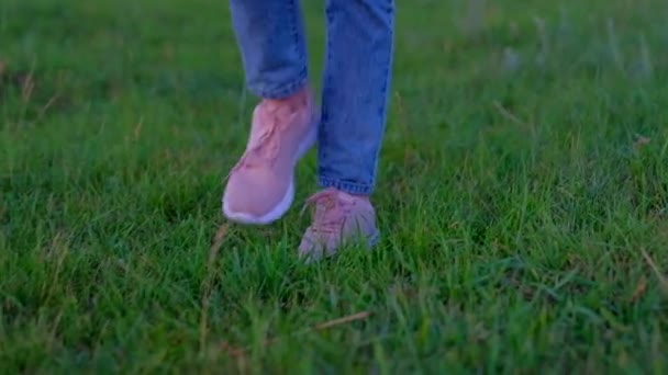 Benen van een vrouw wandelen langs de herfst Trail, toeristische wandelingen in de natuur. — Stockvideo