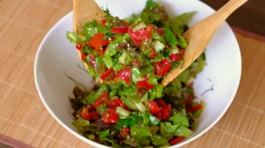 Bir tabak taze sebze salatası karıştırarak kadın.