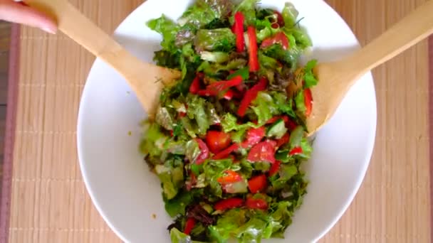Женщина размешивает миску свежего овощного салата . — стоковое видео