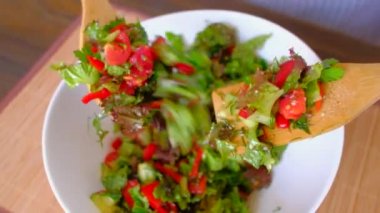 Bir tabak taze sebze salatası karıştırarak kadın.