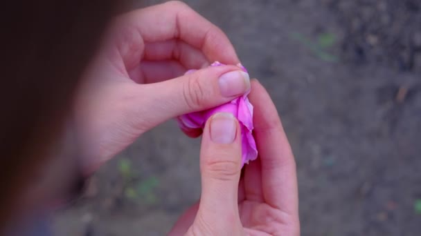 Vrouwelijke handen open roze bloem. — Stockvideo