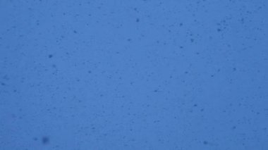 Kar taneleri düşüyor..