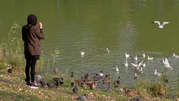 Samica karmi ptaki w pobliżu rzeki. — Wideo stockowe