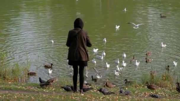 雌性在河边喂鸟. — 图库视频影像