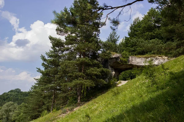 Doğanın garip İnşaat