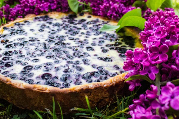 Lezzetli Bilberry turtası ve güzel leylak