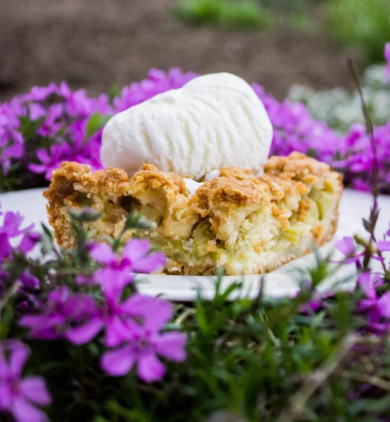 Dondurmalı lezzetli ravent turtası.