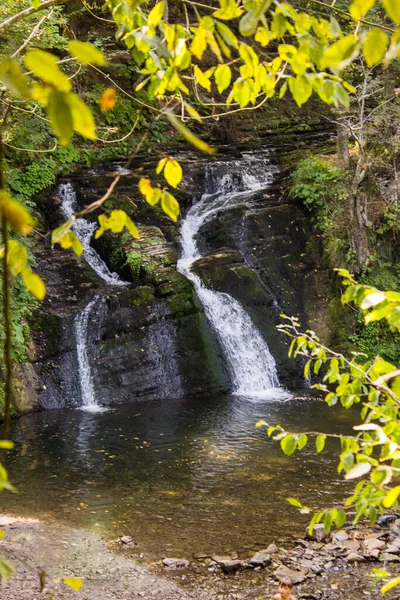 Sonbahar Ormanında Şelale Hurkalo