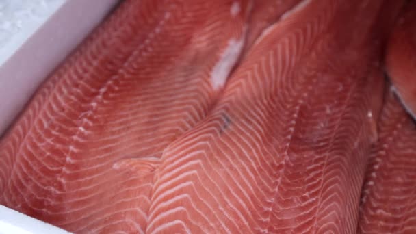 Filetes de salmão crus em uma caixa branca — Vídeo de Stock