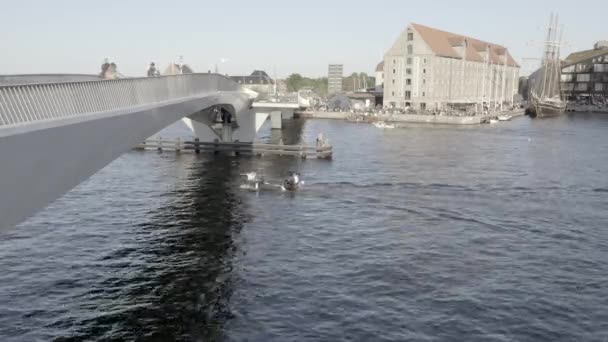Vista lungo il ponte Inderhavnsbroen a Copenaghen, Danimarca. — Video Stock