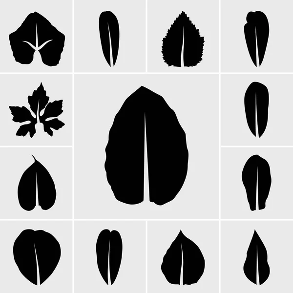 Vetor Ícone Folha Preta Definido Fundo Cinza — Vetor de Stock