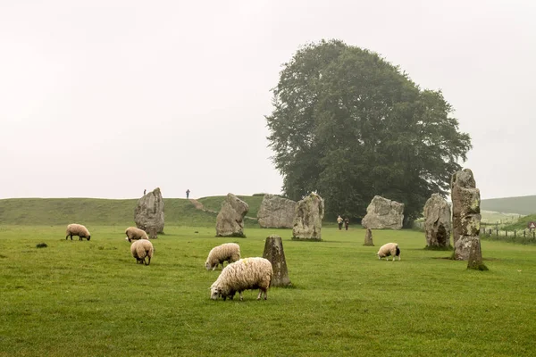 Stone Circle World Heritage Site Avebury Wiltshire United Kingdom Avebury — Stock Photo, Image