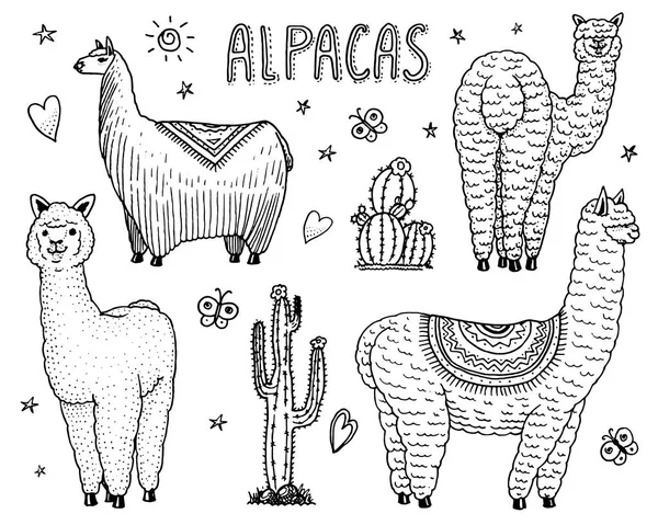 Conjunto Bonito Alpaca Llamas Guanaco Selvagem Fundo Cacto Animais Sorridentes — Vetor de Stock