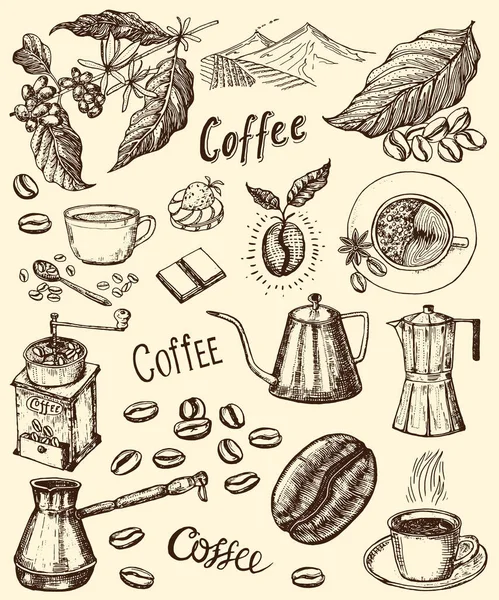 Традиційний фільтр кавоварки. Сучасні вінтажні елементи, перколятор, рослини, зерно та чайник для меню магазину. Векторні ілюстрації. гравірована рука намальована в старому ескізі для карт, значків, етикеток . — стоковий вектор