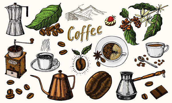 Traditional Filter Coffee Maker. Modern vintage elements, percolator, plants, grain and kettle for the shop menu. Vector illustration. engraved hand drawn in old sketch for card, badges, labels.