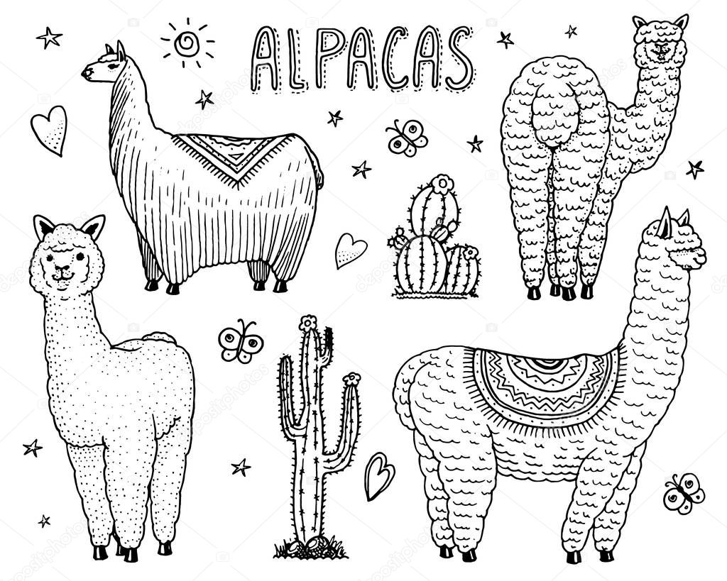 Set of cute Alpaca Llamas or wild guanaco on the background of Cactus. Funny smiling animals in Peru for cards, posters, invitations, t-shirts. Hand drawn Elements. Engraved sketch