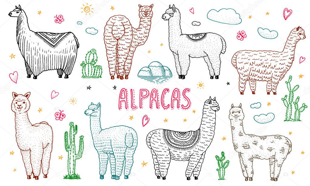 Set of cute Alpaca Llamas or wild guanaco on the background of Cactus and mountain. Funny smiling animals in Peru for cards, posters, invitations, t-shirts. Hand drawn Elements. Engraved sketch.