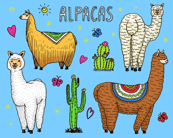 Conjunto de bonito Alpaca Llamas ou guanaco selvagem no fundo do cacto. Animais sorridentes engraçados no Peru para cartões, cartazes, convites, camisetas. Elementos desenhados à mão. Esboço gravado . — Vetor de Stock